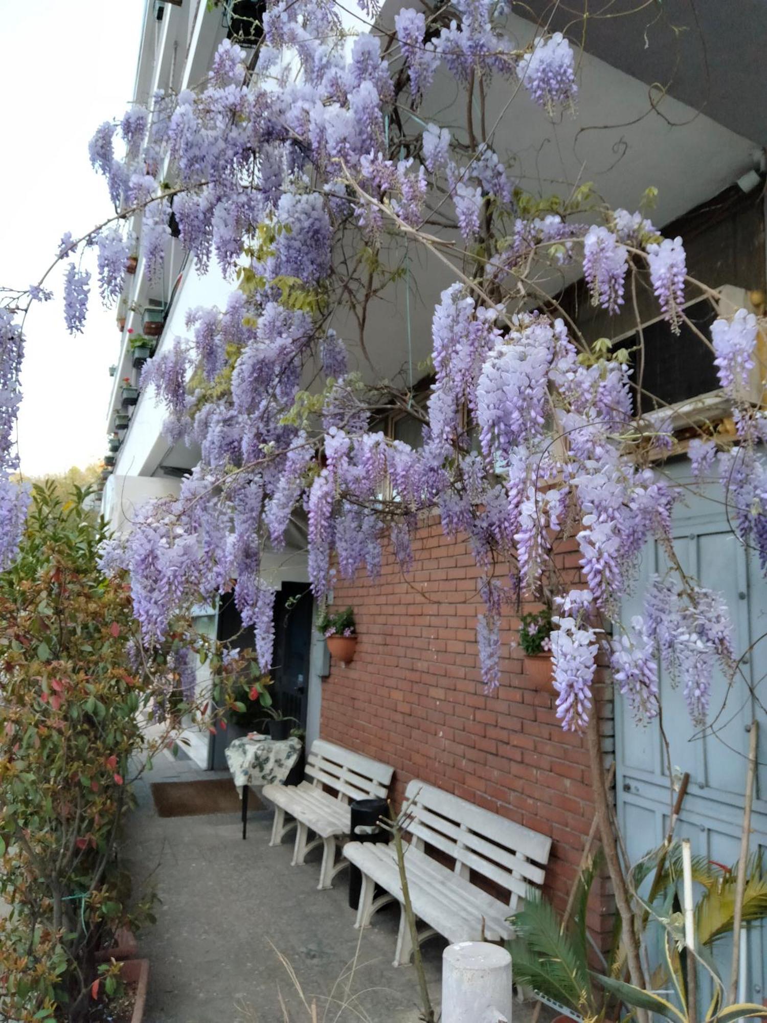 Hotel Lombardia Seveso Kültér fotó